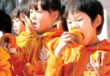 [사진]“단감 맛있어요”