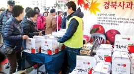 경북사과 우수성 서울시민에 알려