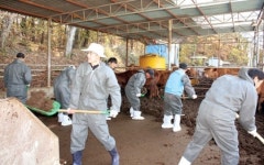 축산농가 일손돕기 ‘구슬땀’
