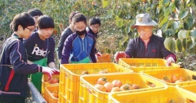 올바른 농업관 형성 ‘도움’