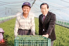 향긋한 ‘대가야 부추’ 출하 한창