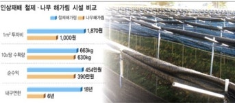 인삼 철제해가림시설 생산비↓ 소득↑
