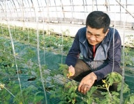 때이른 추위에 시설농가 ‘덜덜’