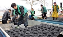 새상주지업사 | 안동새마을회·새상주로타리클럽·예천농협, 소외이웃 겨울나기 연탄 배달 ‘훈훈’