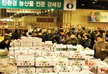 친환경농산물 전문경매장 ‘눈에띄네’