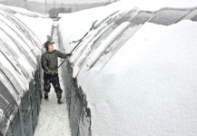 [사진]하우스 무너질라…바쁜 손놀림