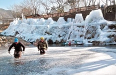 팜스테이마을 ‘우수상’…경남 밀양 꽃새미마을, “다양한 얼음꽃으로 도시민 유혹”