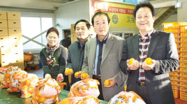 노지감귤 소득 증대 ‘견인차’