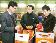 경남단감농협, 경제사업 박차