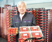 몸집 키운 ‘임실N딸기’ 몸값도 쑥쑥