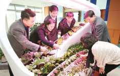 실내농장 ‘스마트팜’ 기술 이전