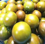 색·모양 독특한 농산물 육성