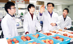 서울청과, 법인 최초 농산물연구소 개설
