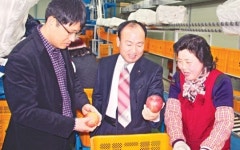 [판매농협 구현, 우리가 이끈다]경남 거창사과원예농협