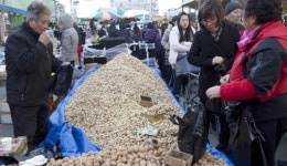 사진가 정영신의 장터순례(5)경기 안성장