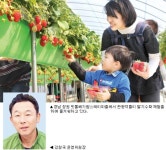 농촌관광 성공사례‘창원 빗돌배기마을’