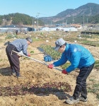 [독자투고]초보 농군의 주말농장 도전