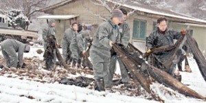 나눔축산운동은 올해도 계속됩니다