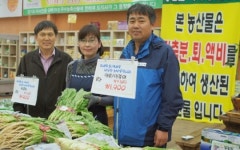 [연중기획]가축분뇨 잘 활용하면 ‘효자’⑶경기 포천 시설채소 농가
