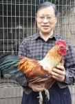 [이사람]]재래닭 복원 국제연합식량농업기구 등재시킨 홍승갑씨