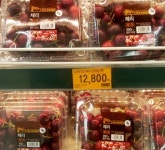 대형마트 미국산 체리 판매 돌입