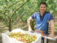 “새콤달콤 하우스 자두 맛보세요”