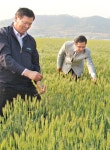 청보리 계약재배로 농가소득 높여
