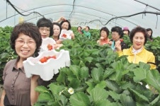 “우리농산물 믿음이 가네요”