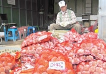 [집중분석]햇마늘 출하시작…거래 및 가격 동향