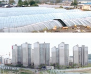 ‘시설채소 본거지’ 자취 감춰,