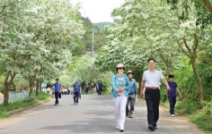 “새하얀 이팝나무 꽃 터널 구경오세요”