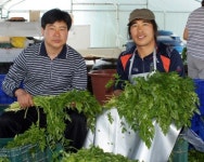 [연중기획]가축분뇨 잘 활용하면 ‘효자’⑷전북 순창 김기열씨