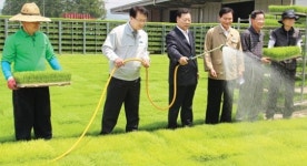 금성농협, 벼 육묘 부담 덜어준다