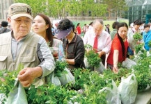 “채소, 집에서 키워보세요”