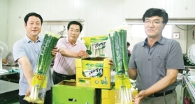 명지농협 ‘일파만파’ 대파 새포장 ‘눈에띄네’