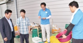 백양사농협 ‘숲속나라’ 복분자·오디 인기