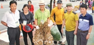생산자가 직접 가격매겨 판매 ‘안성 새벽 농산물직거래시장’