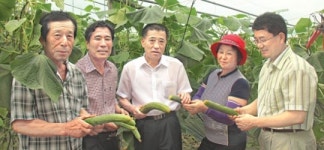 “전문가 덕분에 오이 생산성 높아졌어요”