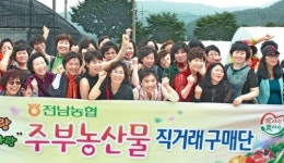 전남농협, 주부 직거래구매단 멜론 수확체험