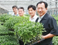 (주)에치와이 산포농협 | 산포농협, 벼·시설채소 육묘대행 인기