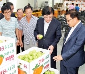 동안동농협, 사과공판장 개장