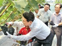 삼서농협, 지자체와 손잡고 포도단지 조성