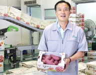 삼기농협, 고품질 고구마 시장 선도