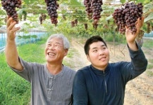 역경 이겨낸 성공농업인(24)광주 광산구 송광일씨