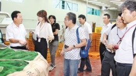 “내촌농협 단호박 산지유통센터