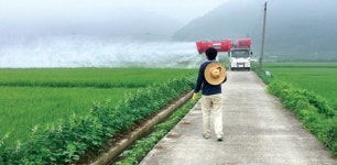 능주농협, 고령농가 대상 벼 병해충 방제작업