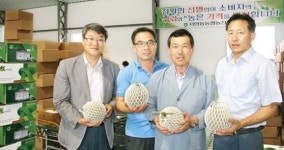 서안동농협 멜론공선회, 고령화 농가에 큰 호응