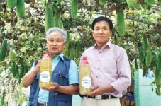 수세미 생산·가공 등으로 소득 올리는 부산 기장 월평마을