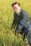 찰벼 계약재배 농가소득 증대