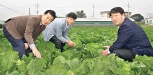 동춘천농협, 시범포 자체적 운영